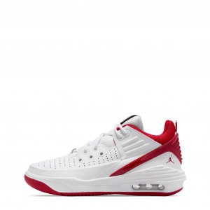 Tenis Jordan Aura Max 5
