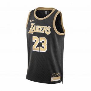 Jersey Nike LeBron James Los Angeles Lakers 2024 Select Series
